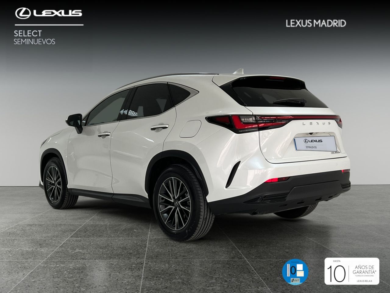 lexus nx 2024 / foto grande (2)