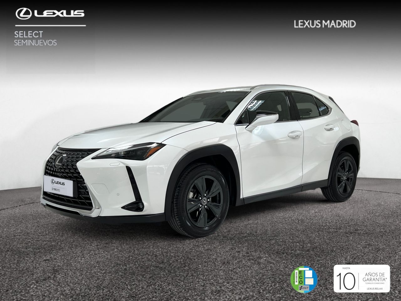 Foto lexus ux 2024 /