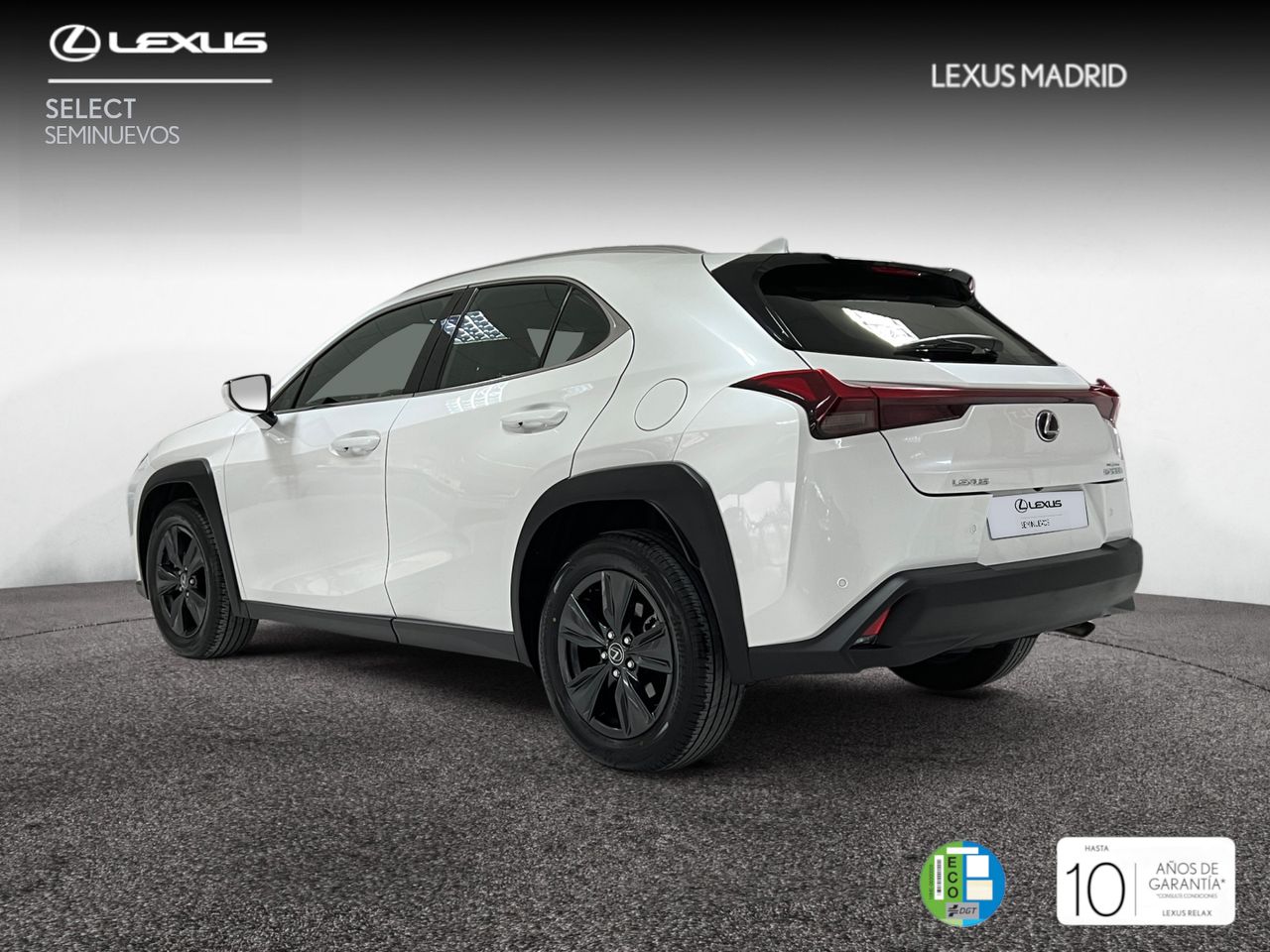 lexus ux 2024 / foto grande (2)