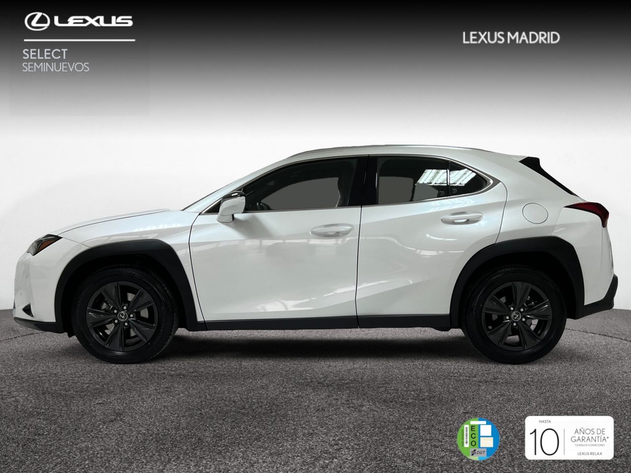 lexus ux 2024 / foto grande (3)