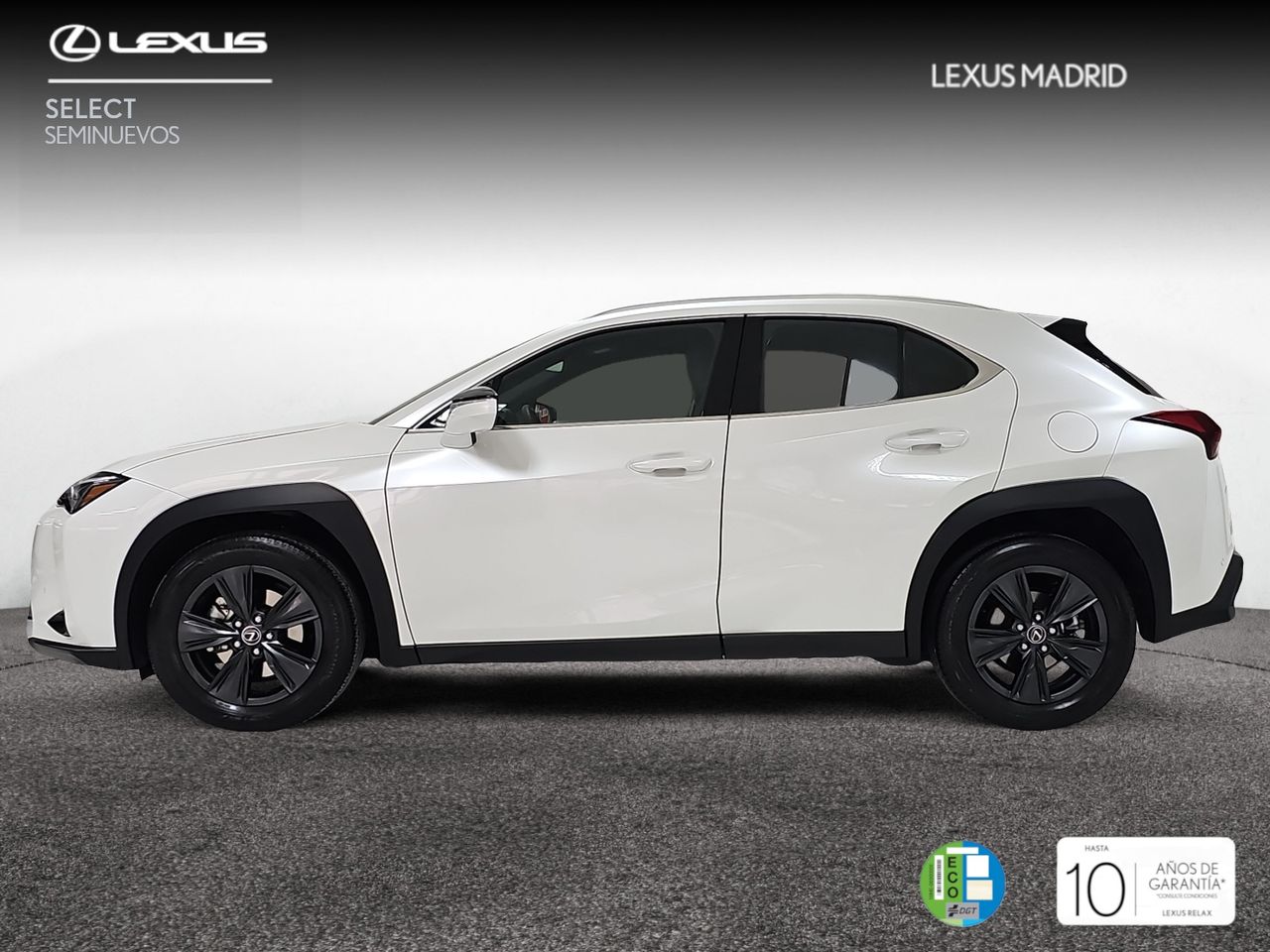 lexus ux 2024 / foto grande (3)
