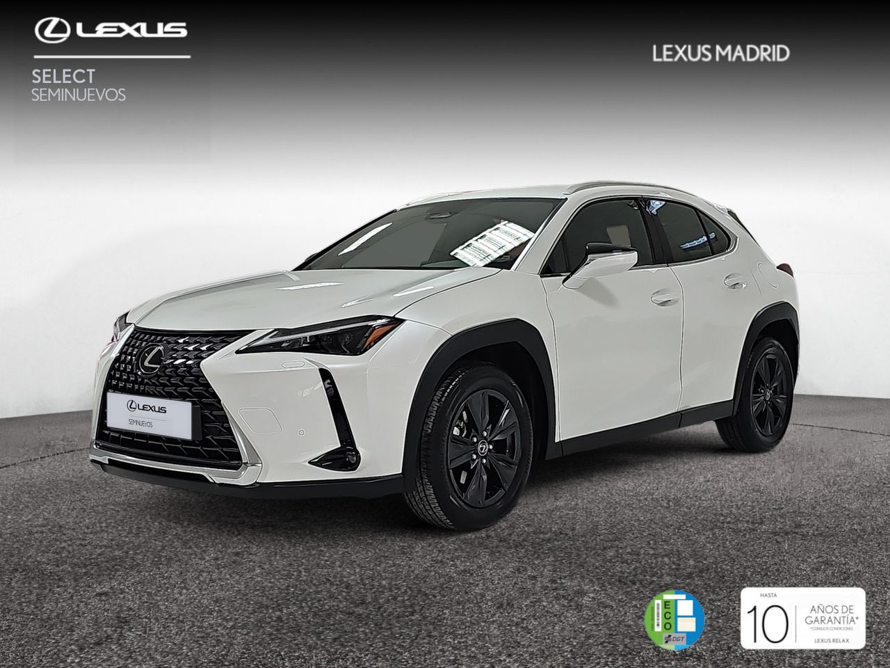 Foto lexus ux 2024 /