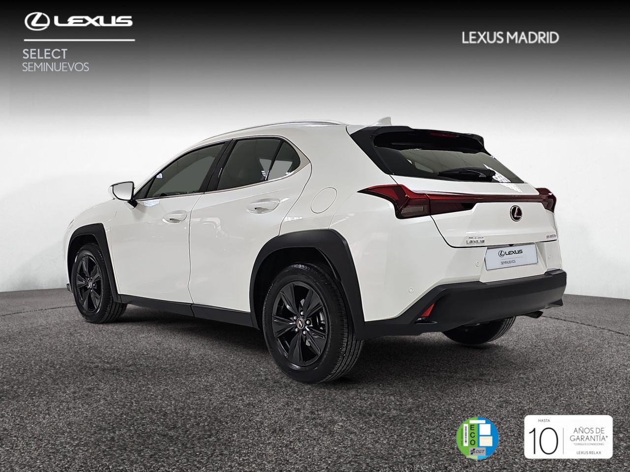 lexus ux 2024 / foto grande (2)