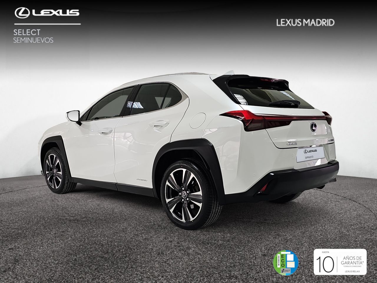 lexus ux 2021 / foto grande (2)