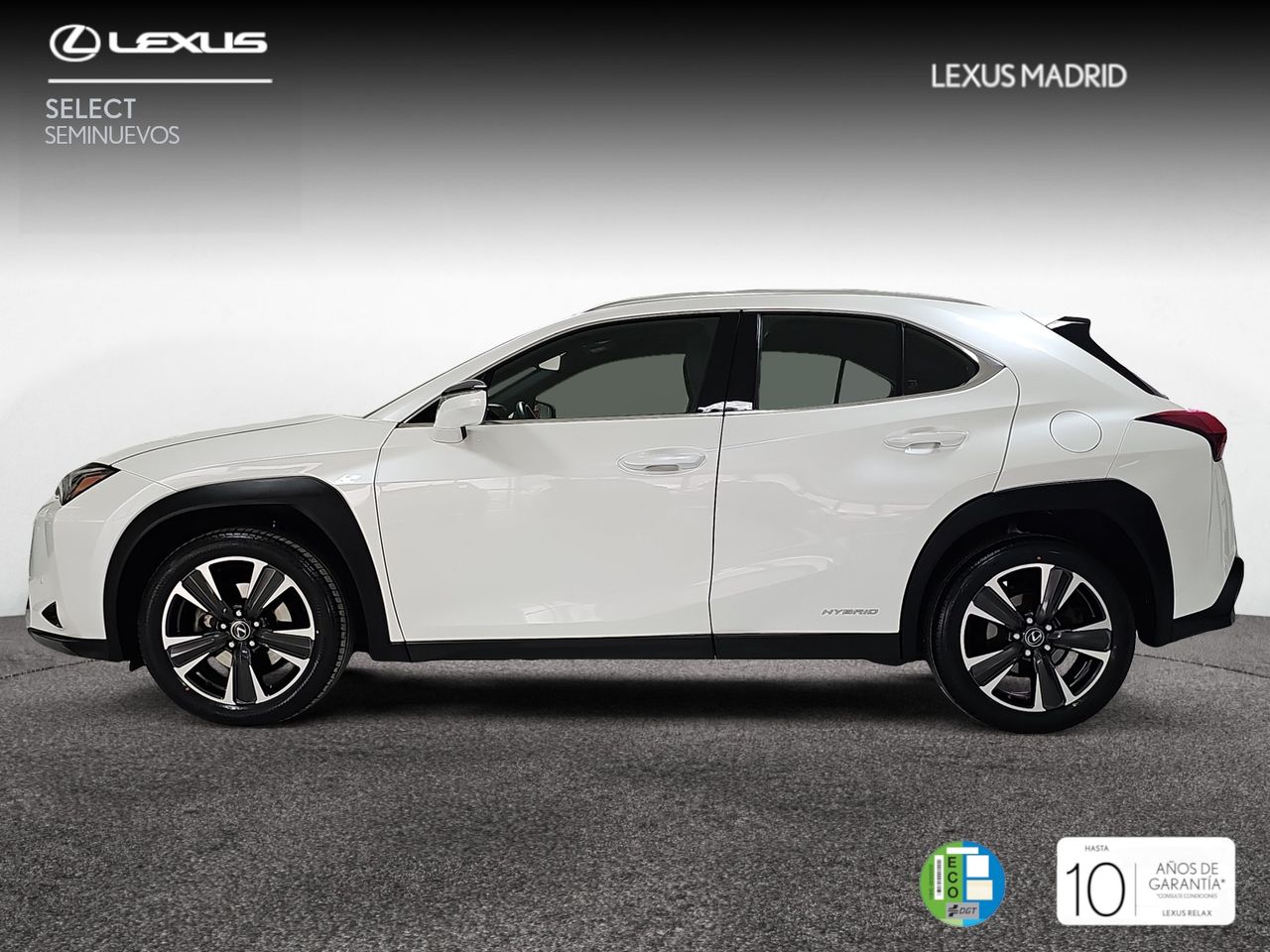 lexus ux 2021 / foto grande (3)