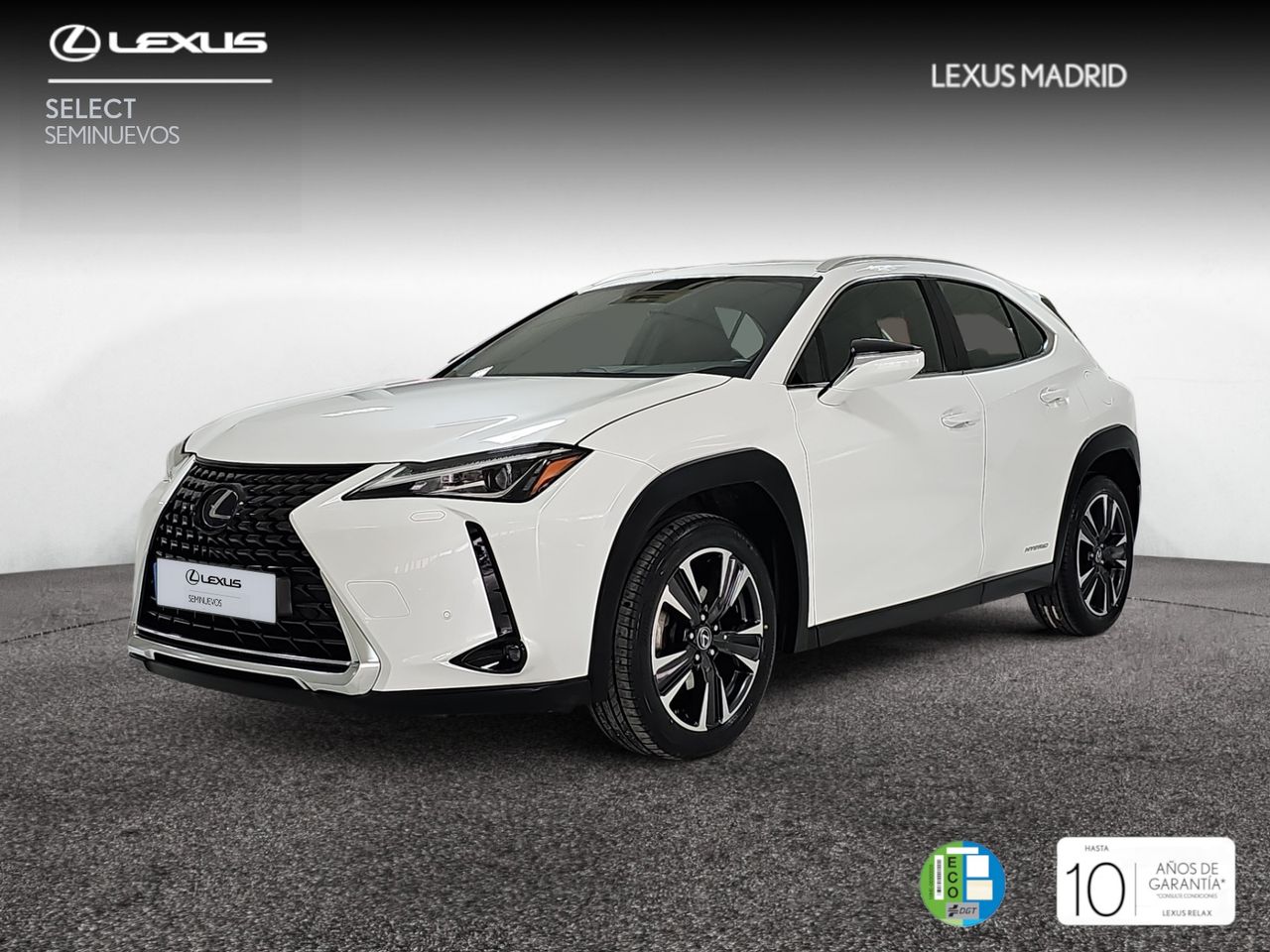 Foto lexus ux 2021 /