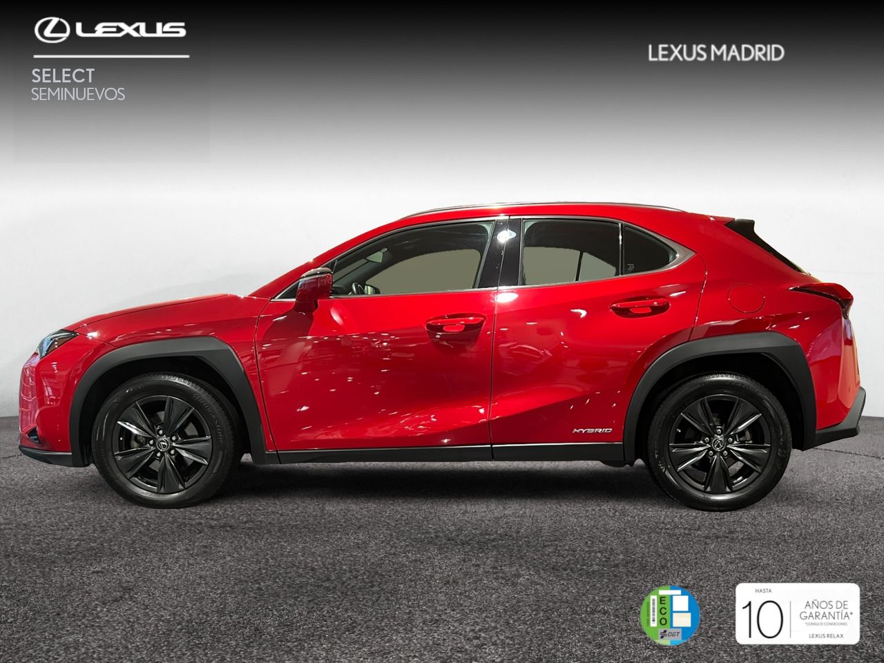 lexus ux 2021 / foto grande (3)
