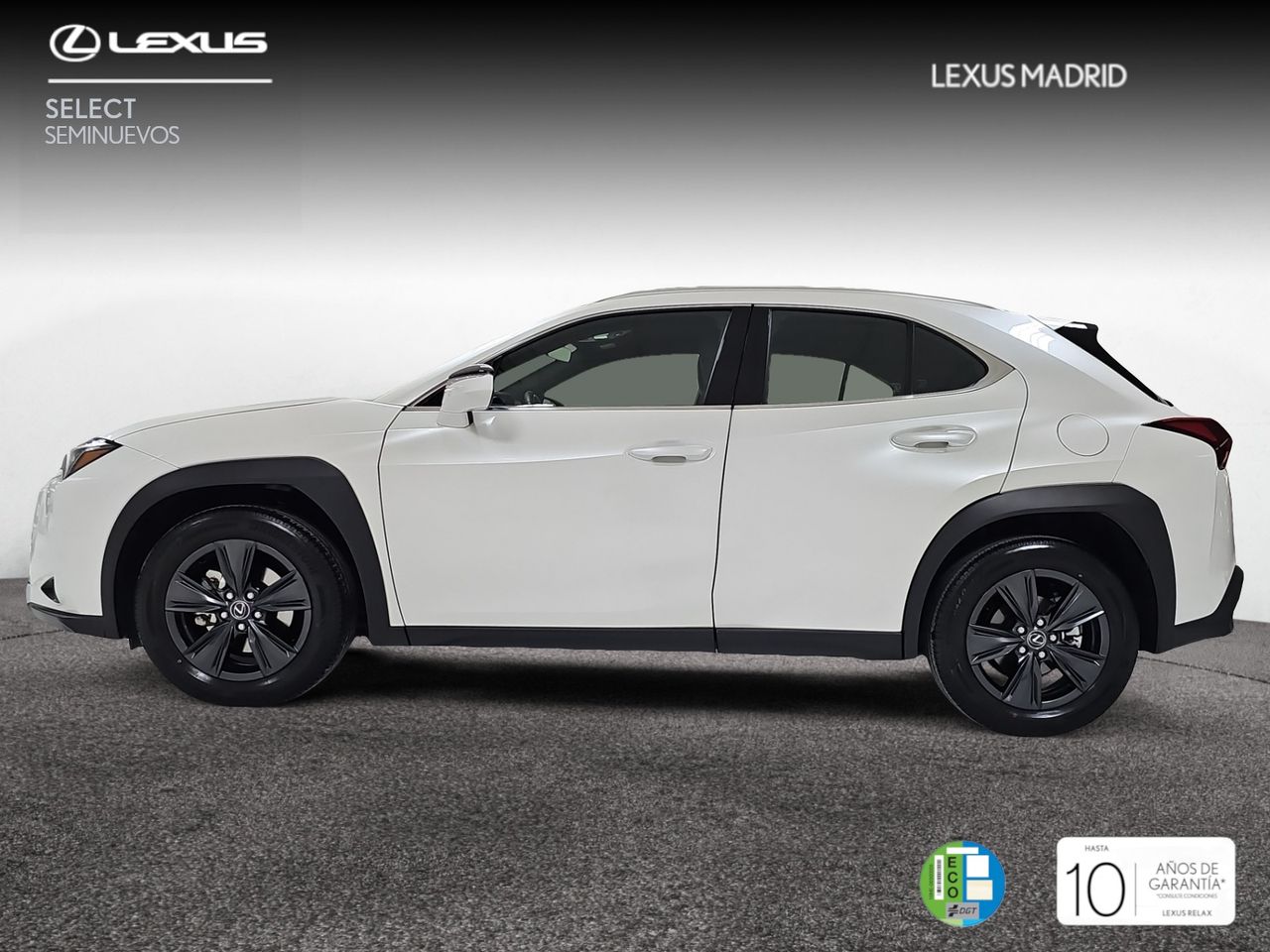 lexus ux 2024 / foto grande (3)