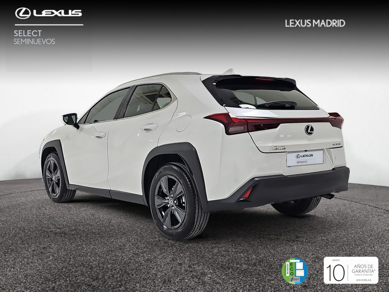 lexus ux 2024 / foto grande (2)