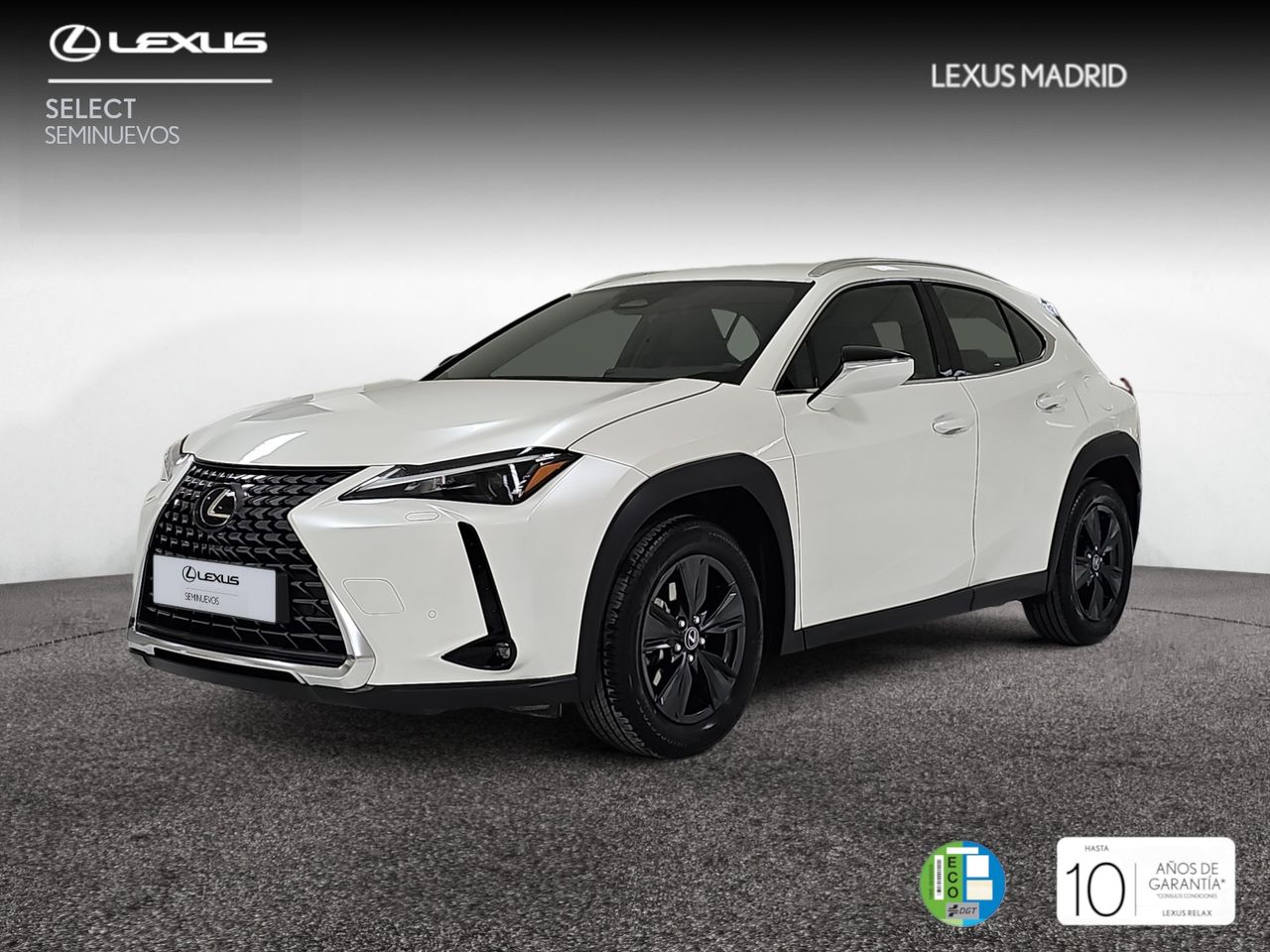 Foto lexus ux 2024 /