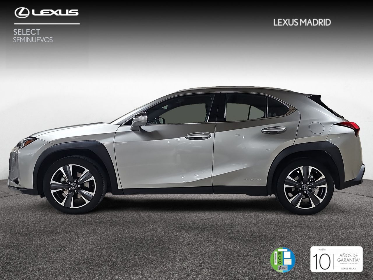 lexus ux 2021 / foto grande (3)