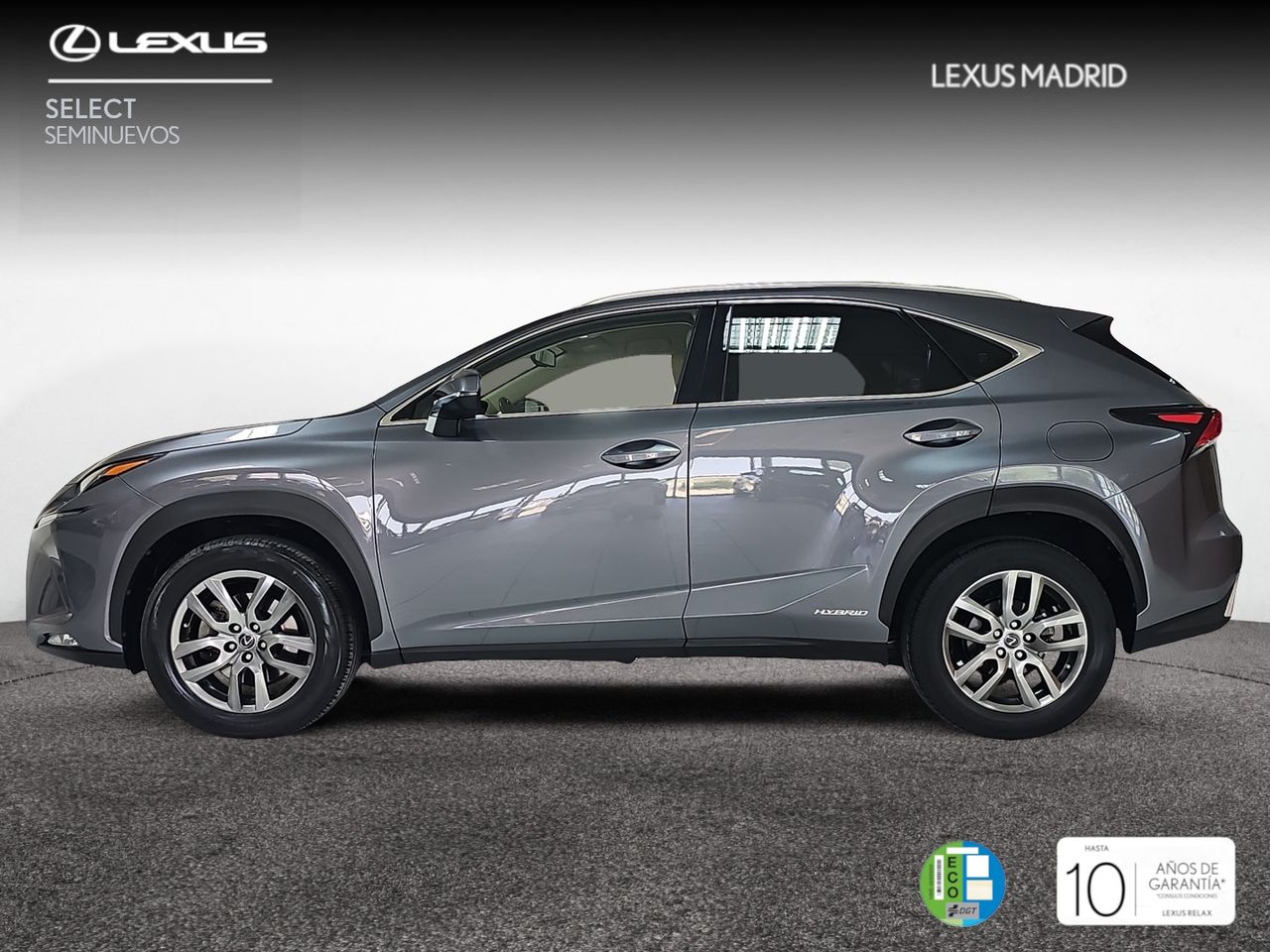 lexus nx 2019 / foto grande (3)