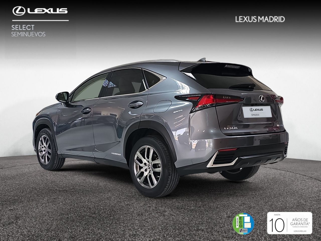 lexus nx 2019 / foto grande (2)