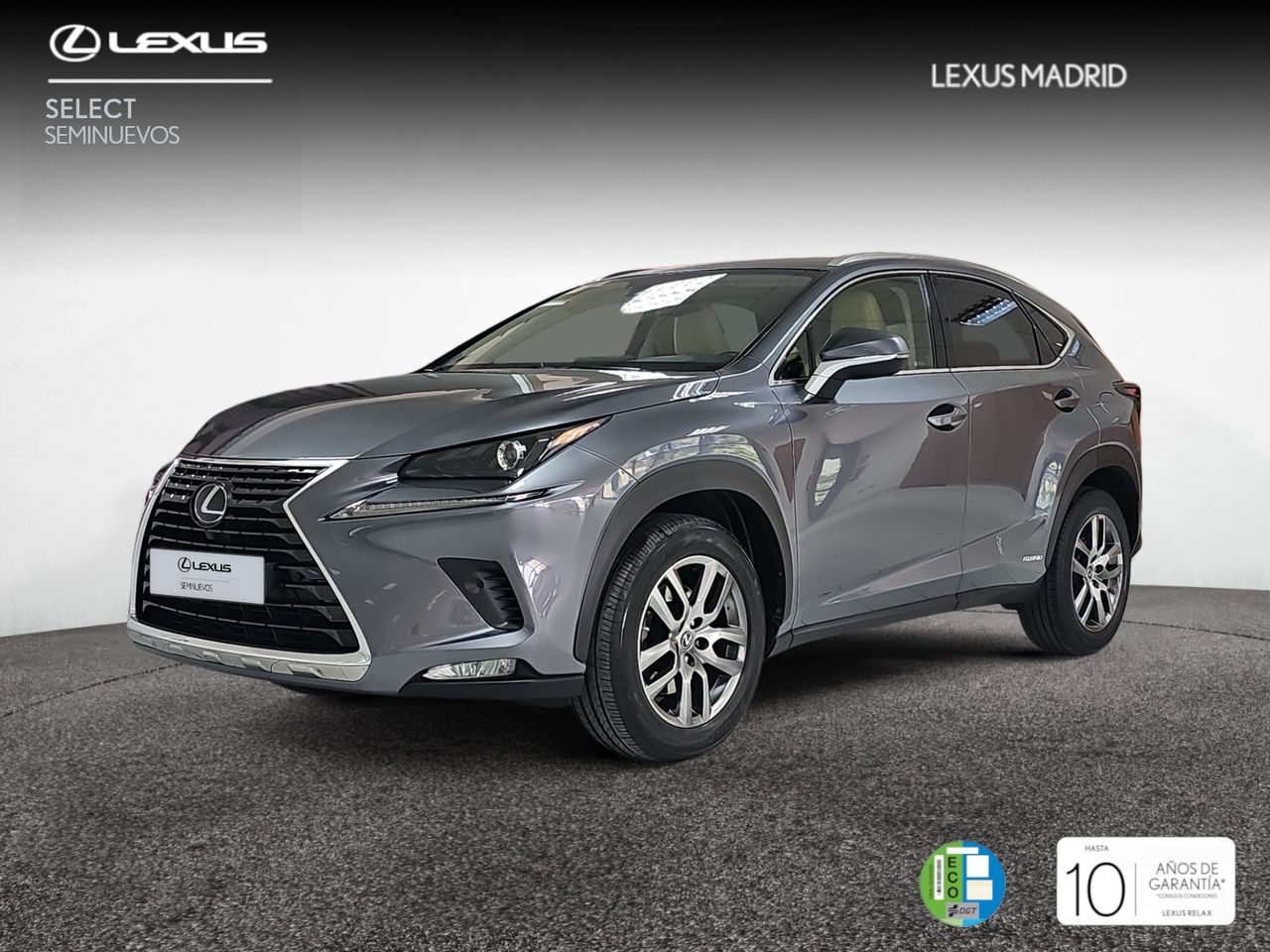 Foto lexus nx 2019 /