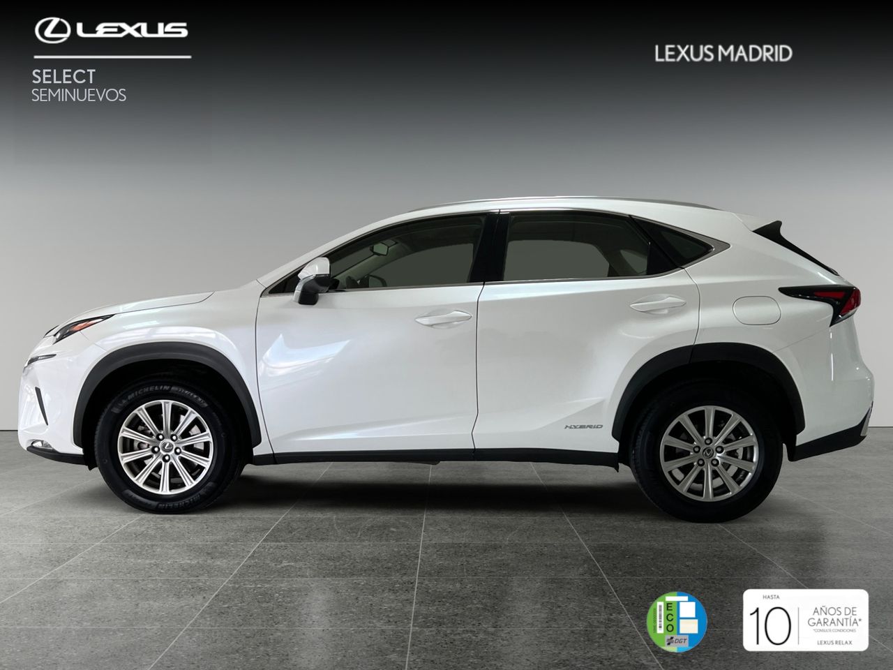 lexus nx 2019 / foto grande (3)