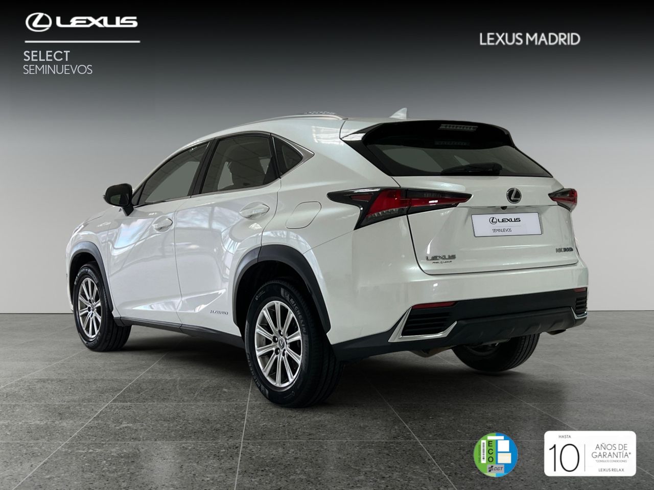 lexus nx 2019 / foto grande (2)