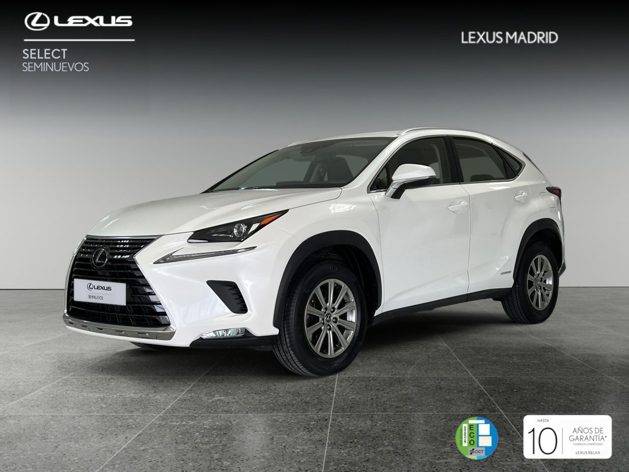 Foto lexus nx 2019 /