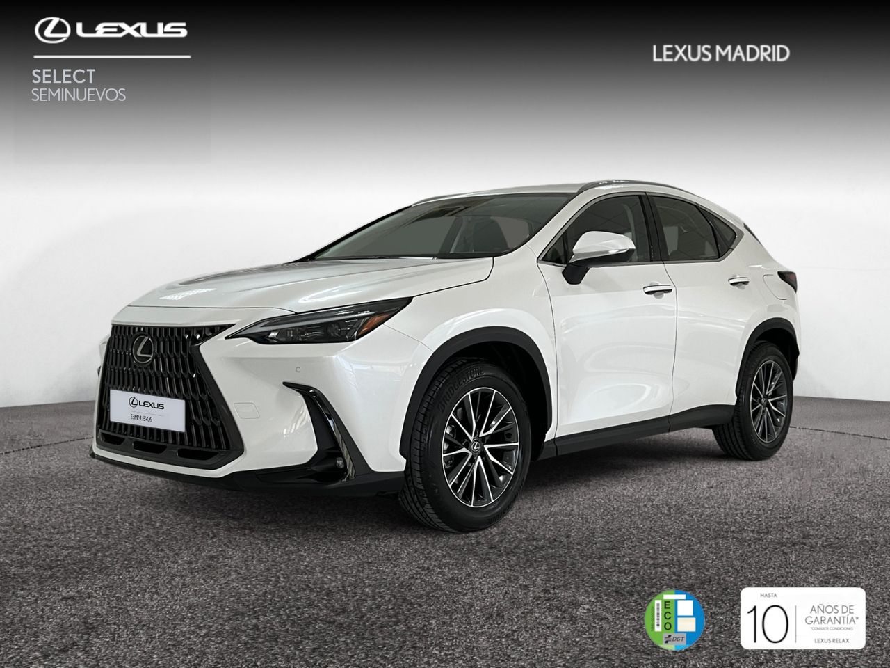 Foto lexus nx 2025 /
