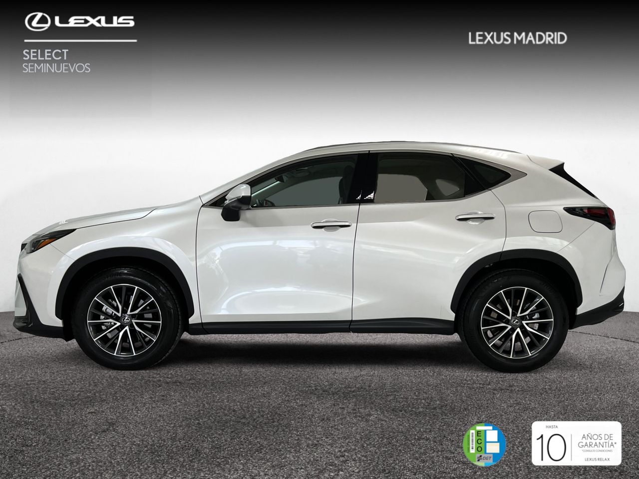 lexus nx 2025 / foto grande (2)