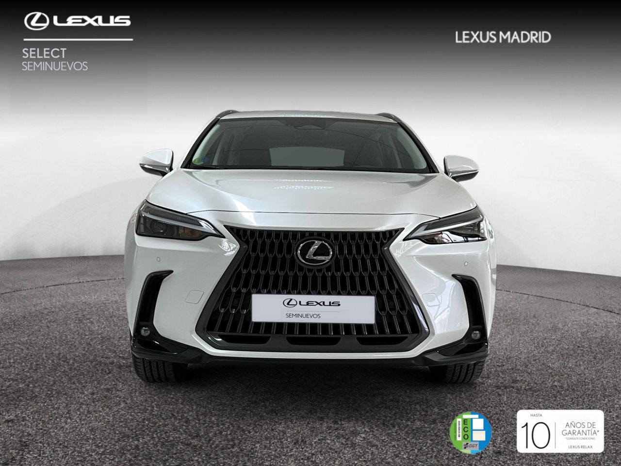 lexus nx 2025 / foto grande (3)