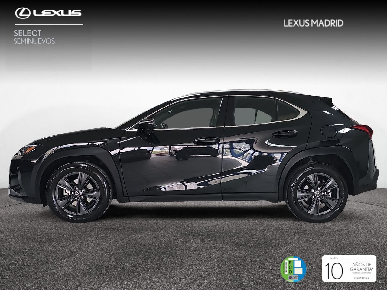 lexus ux 2025 / foto grande (3)