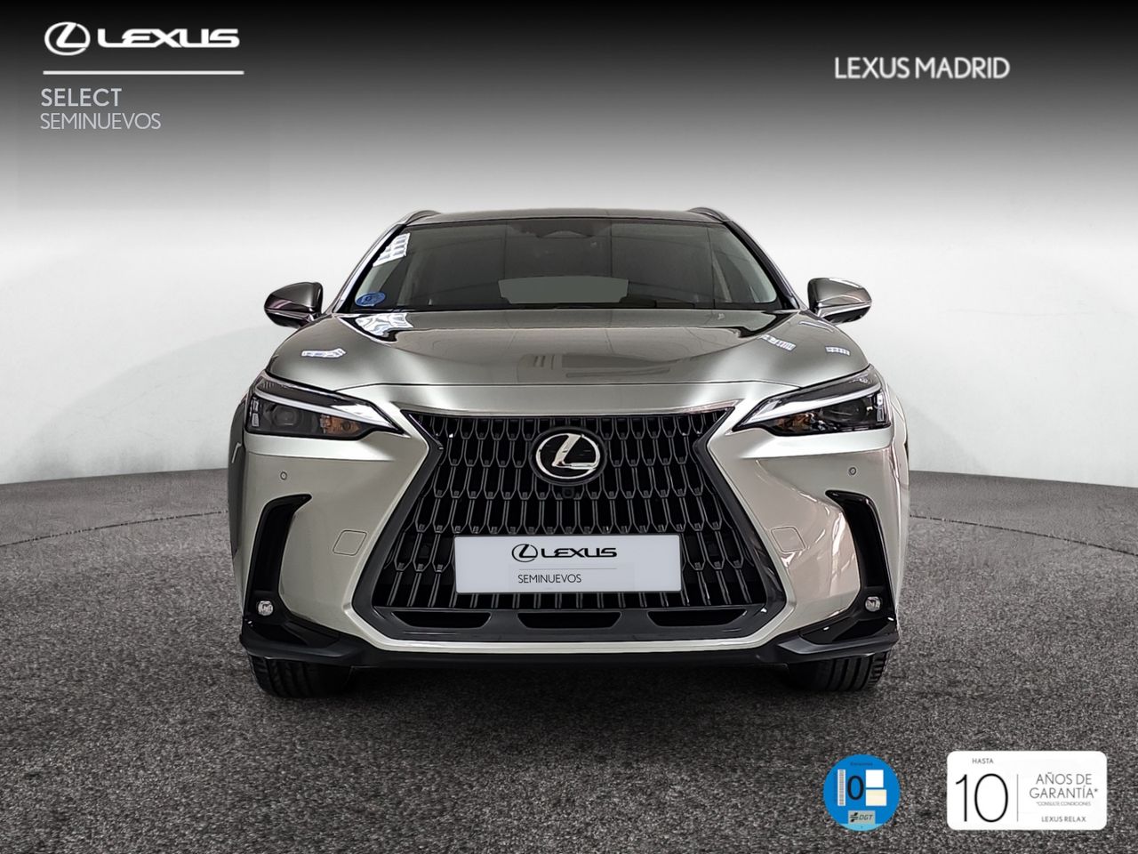lexus nx 2022 / foto grande (3)