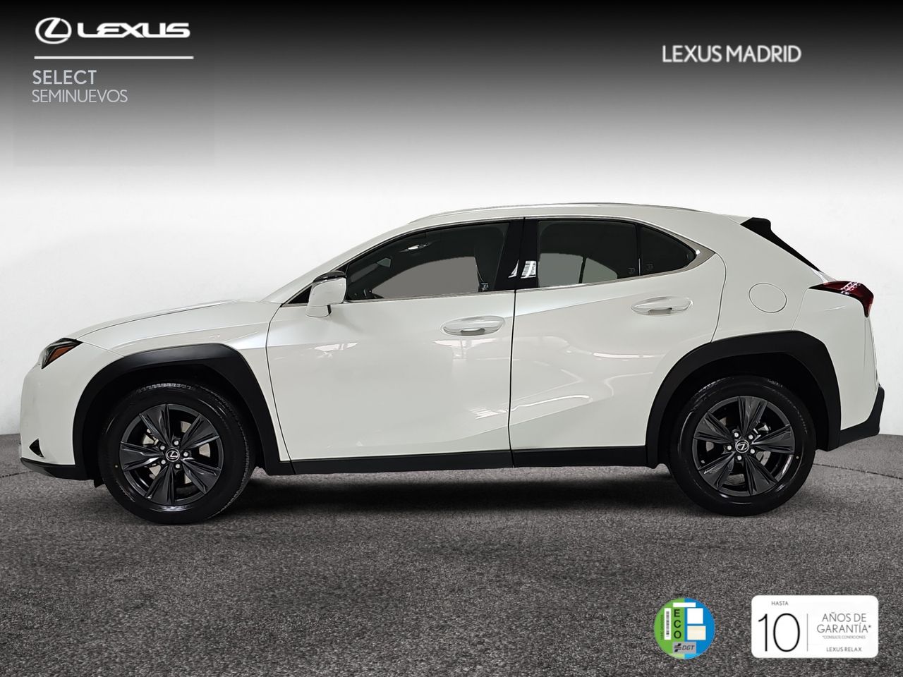 lexus ux 2025 / foto grande (3)