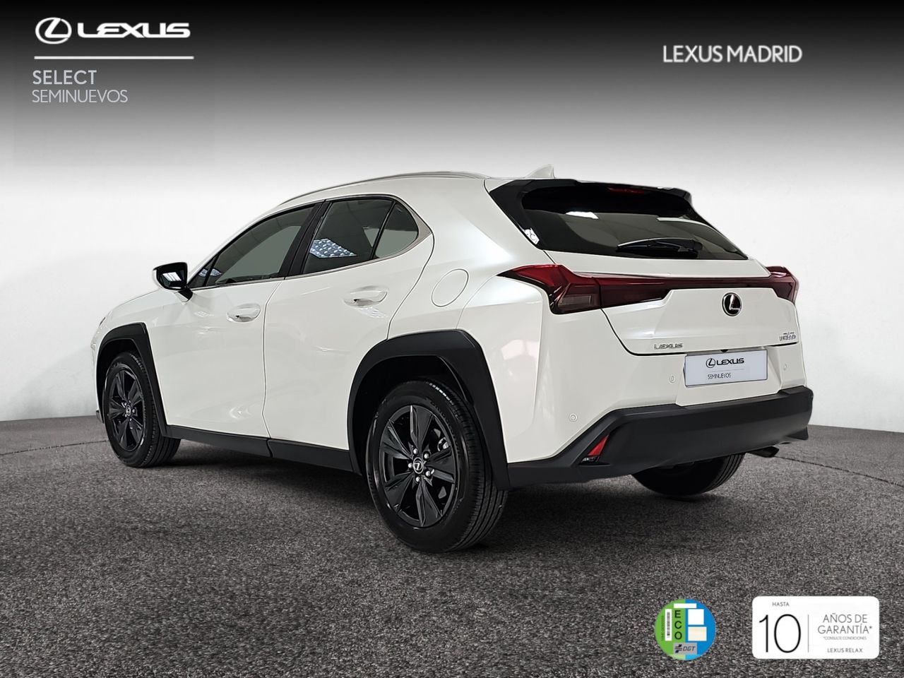 lexus ux 2025 / foto grande (2)