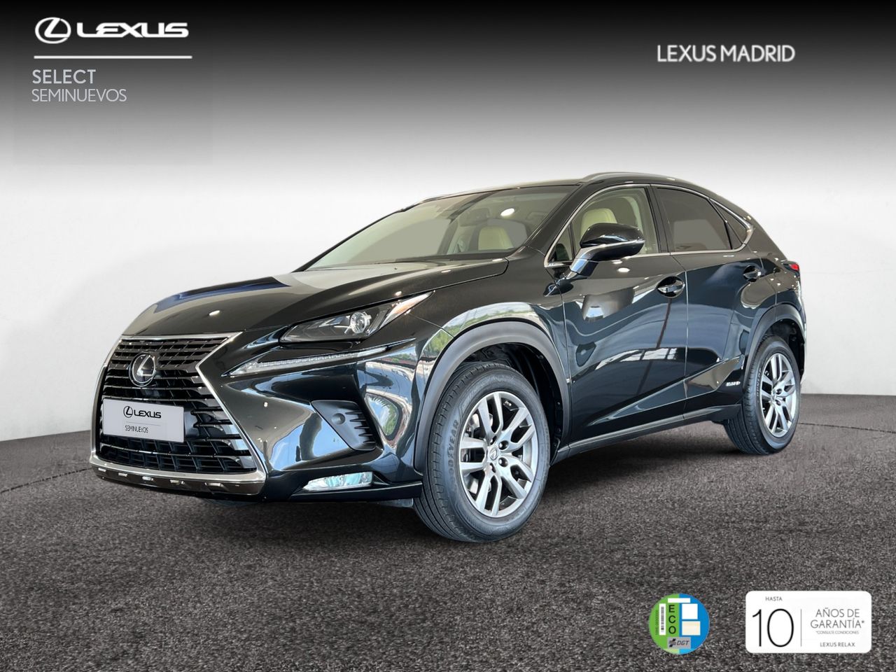 Foto lexus nx 2018 /