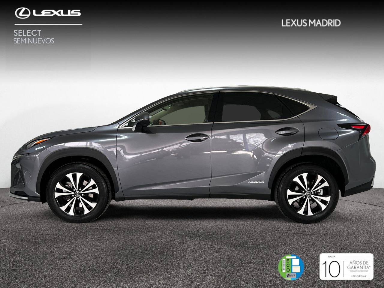 lexus nx 2021 / foto grande (3)