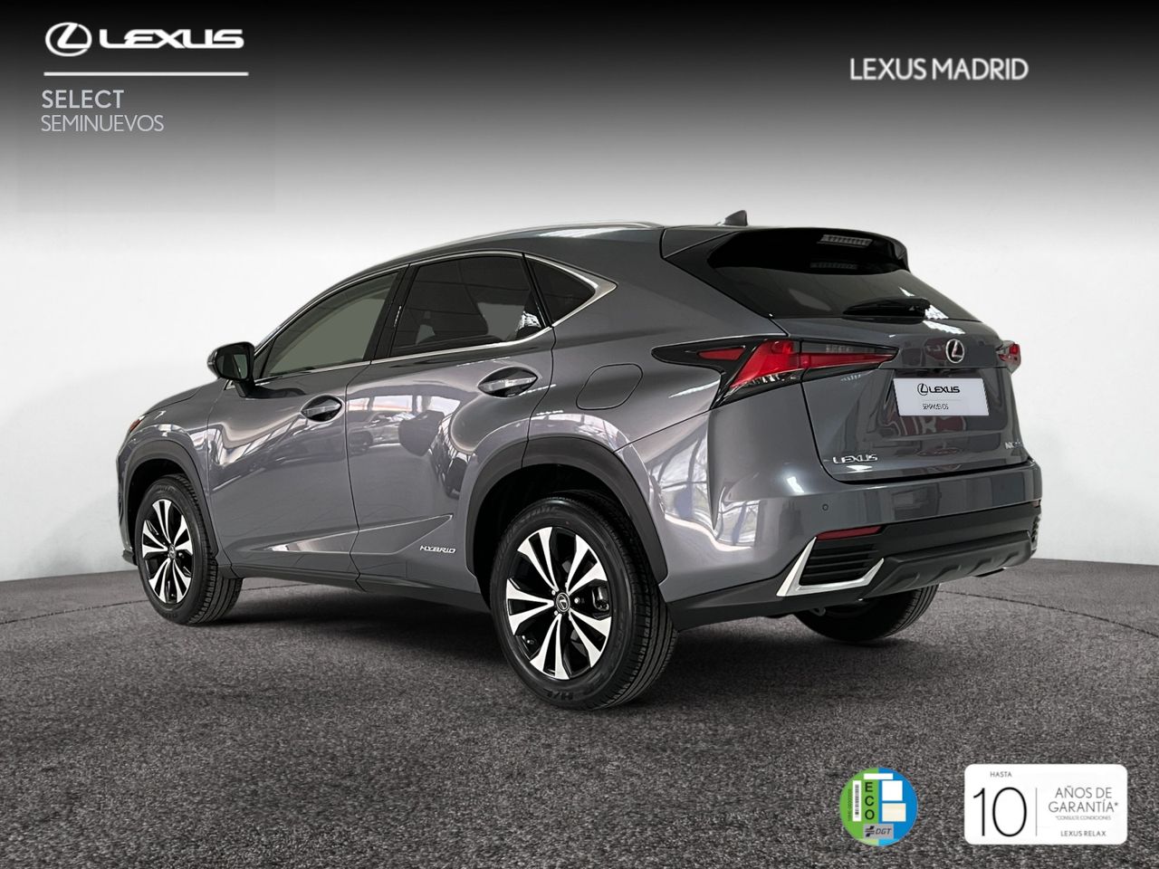lexus nx 2021 / foto grande (2)