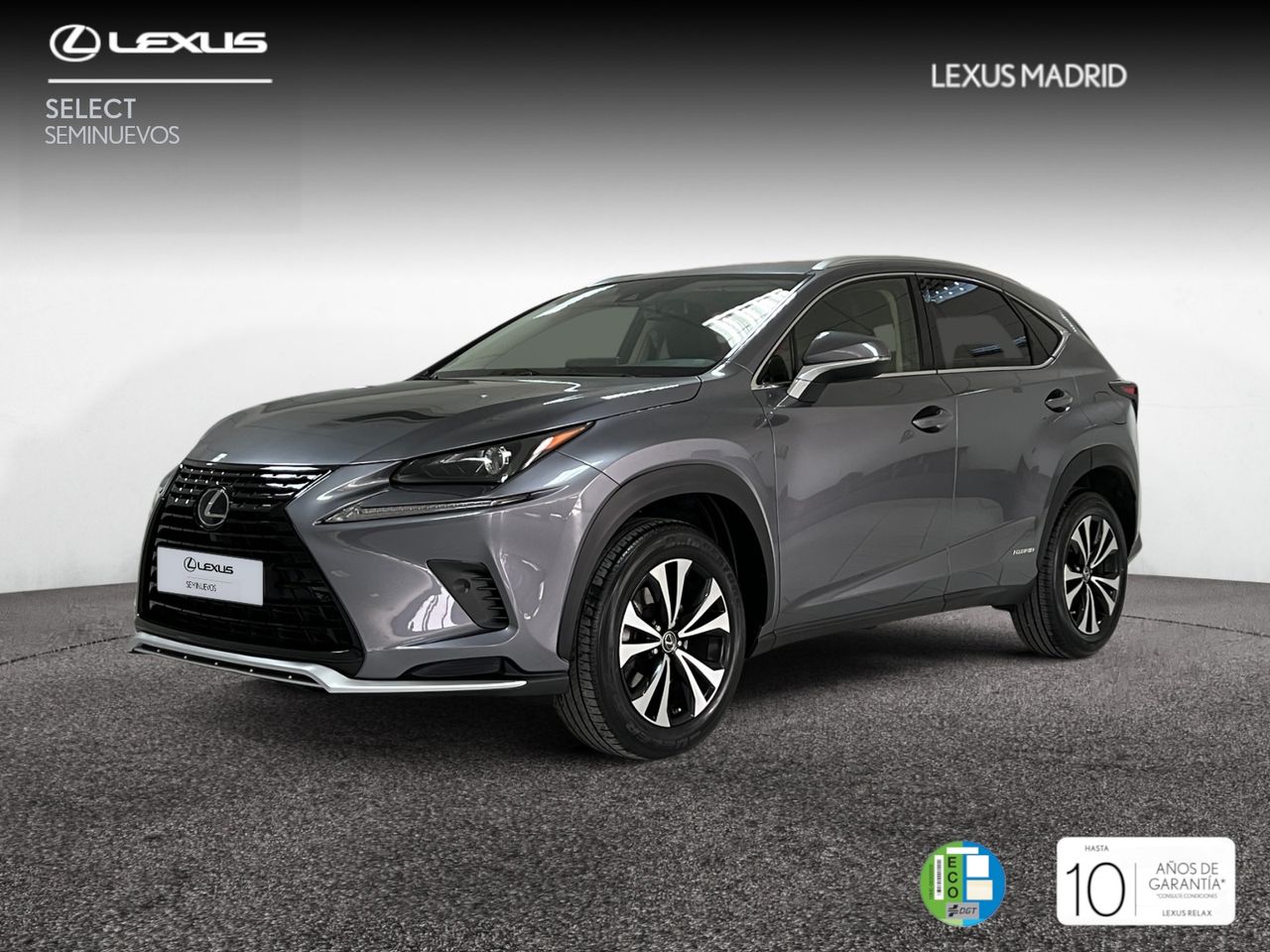 Foto lexus nx 2021 /