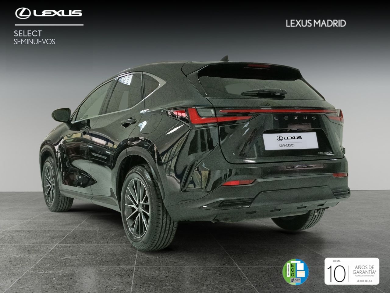 lexus nx 2022 / foto grande (2)