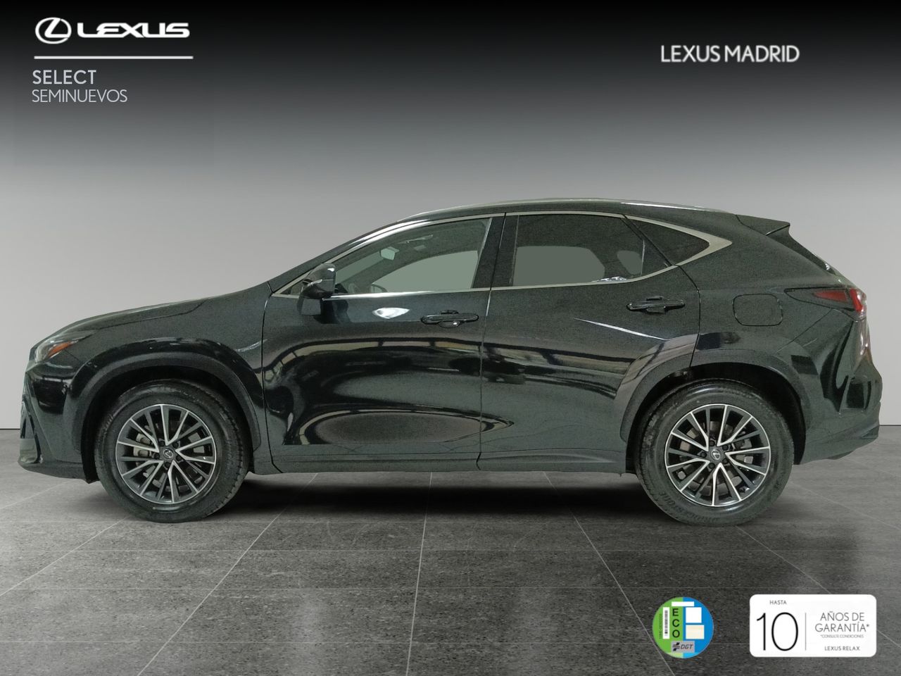 lexus nx 2022 / foto grande (3)