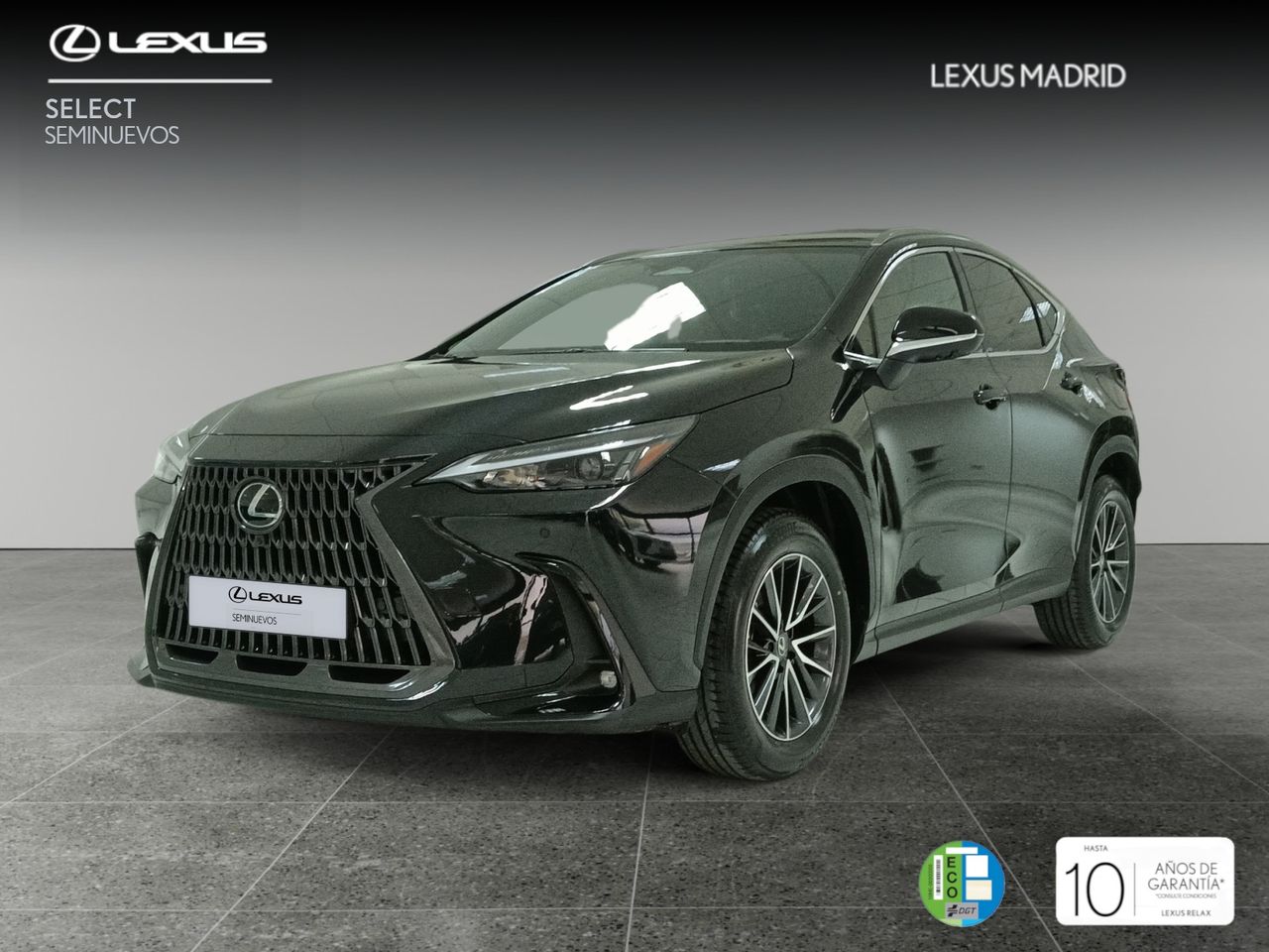 Foto lexus nx 2022 /