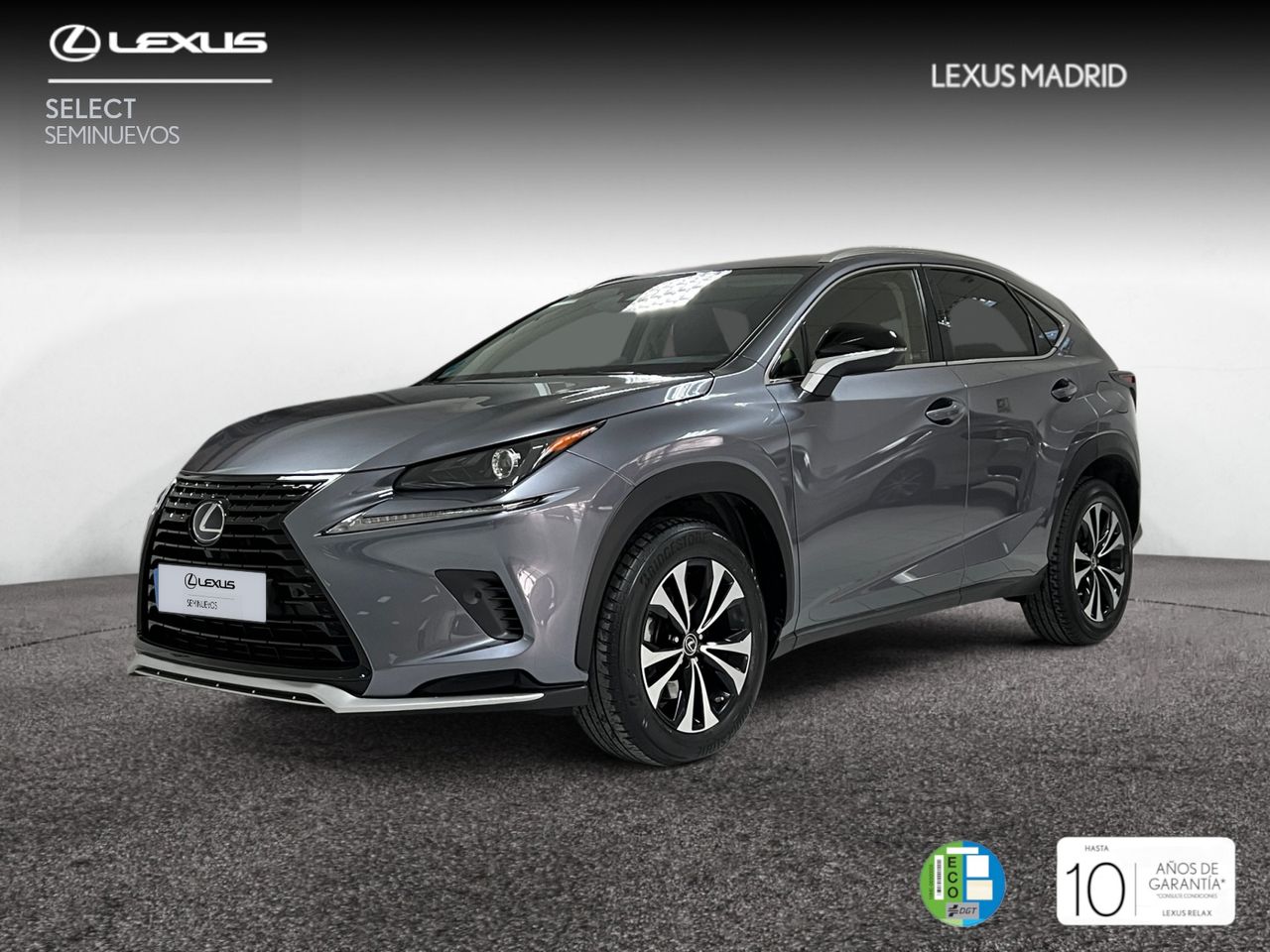 Foto lexus nx 2021 /