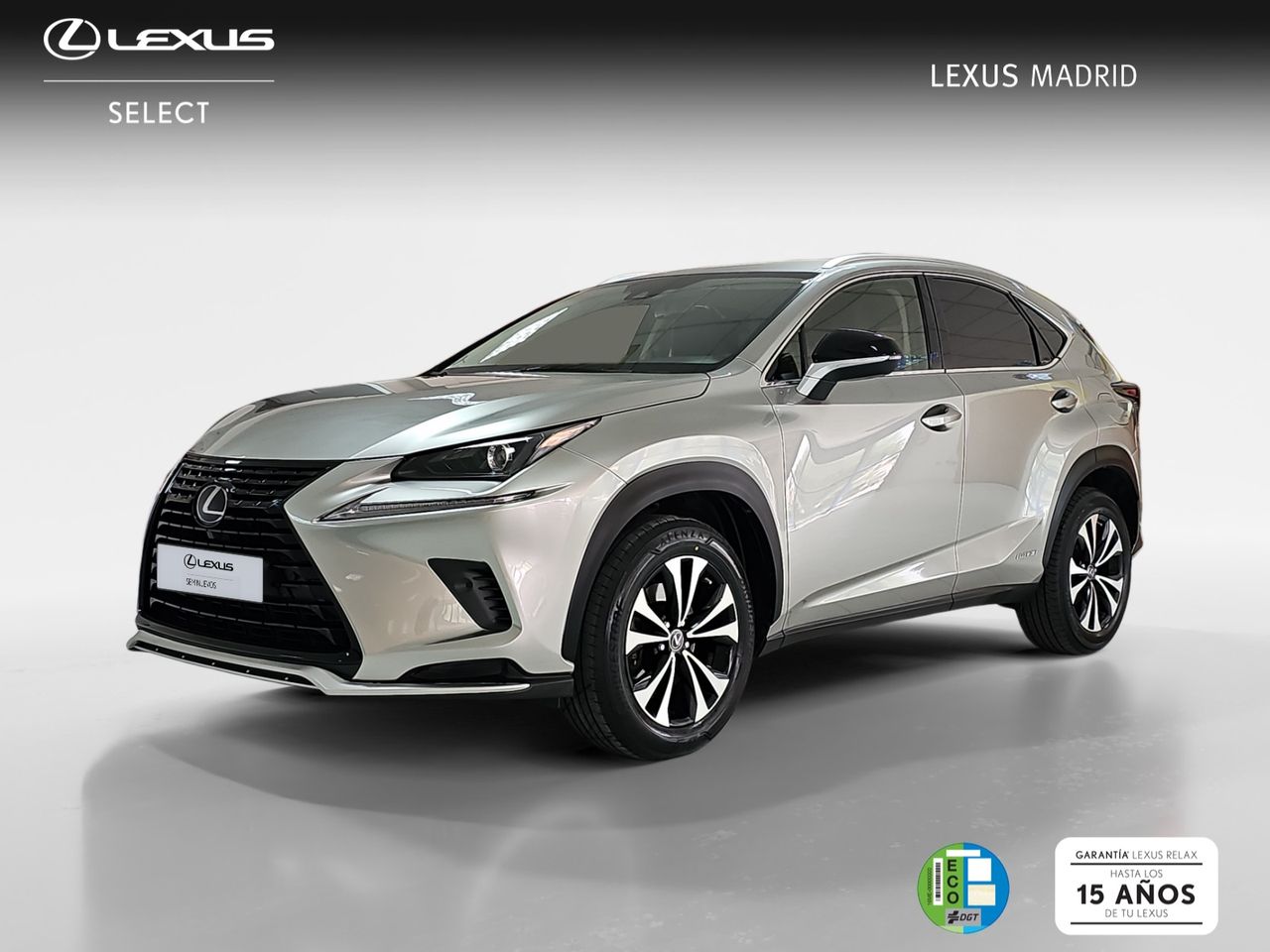 lexus nx 2021 /