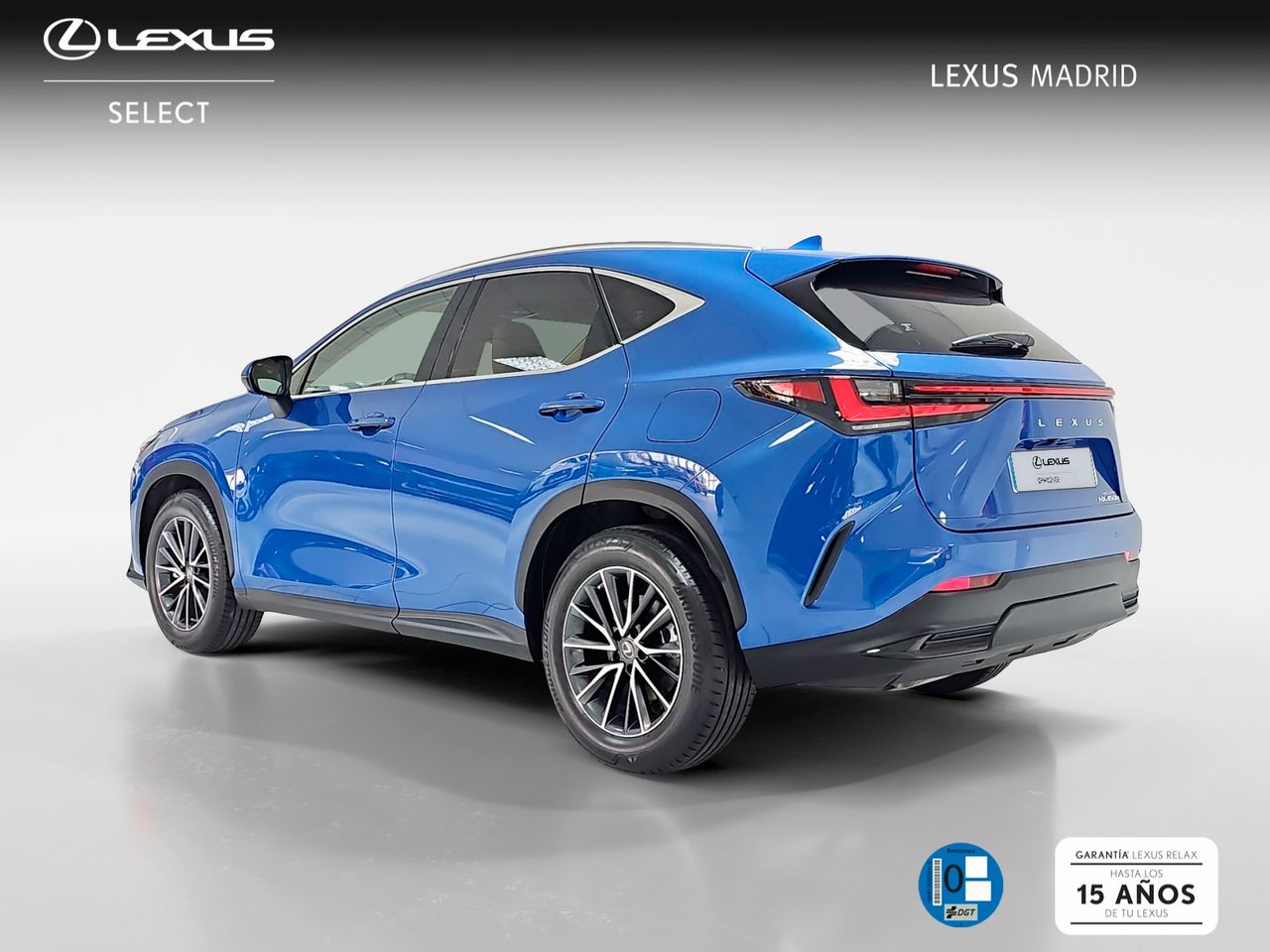 bg