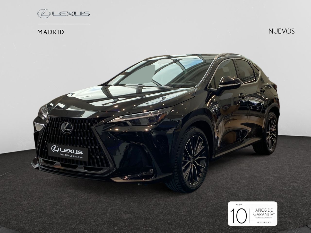 lexus nx 2025 / foto grande (3)