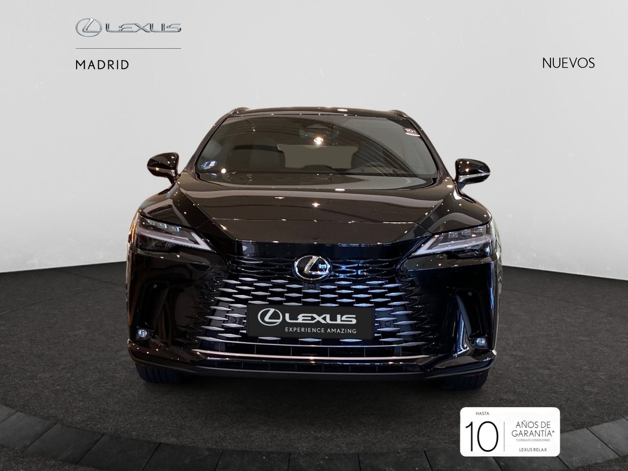 Foto lexus rx 2025 /