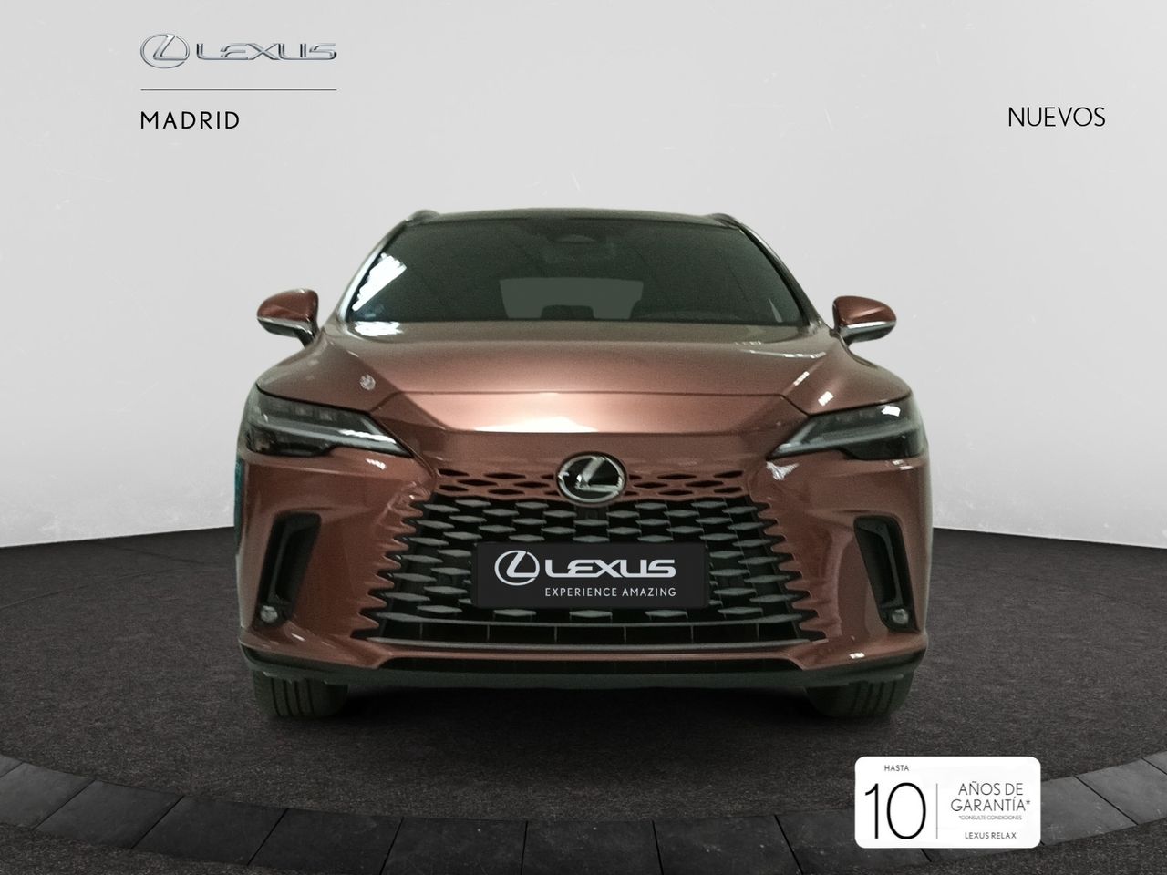 Foto lexus rx 2025 /