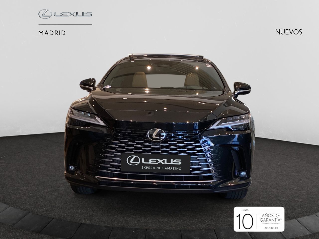 Foto lexus rx 2025 /