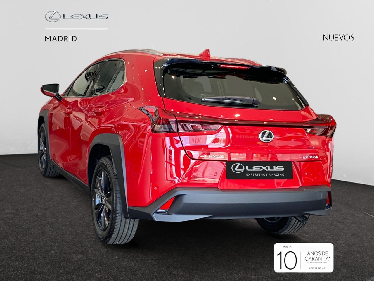 lexus ux 2025 / foto grande (3)