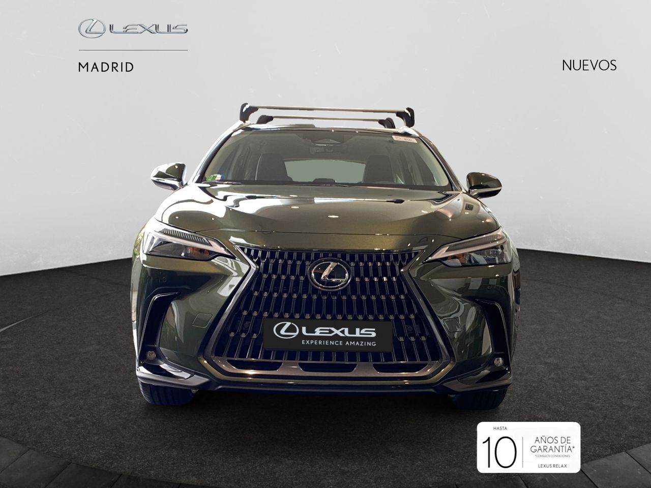 Foto lexus nx 2025 /