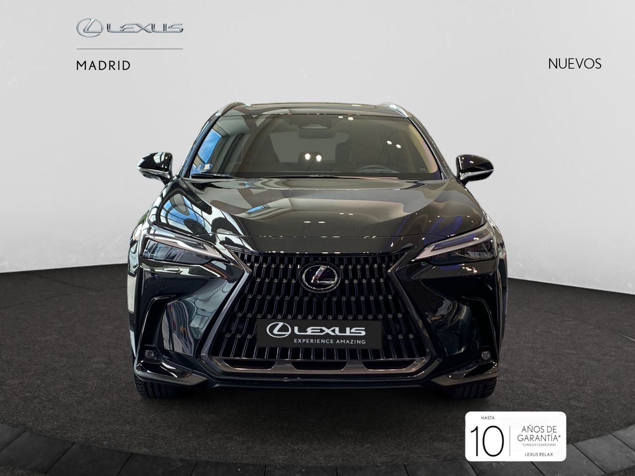 Foto lexus nx 2025 /