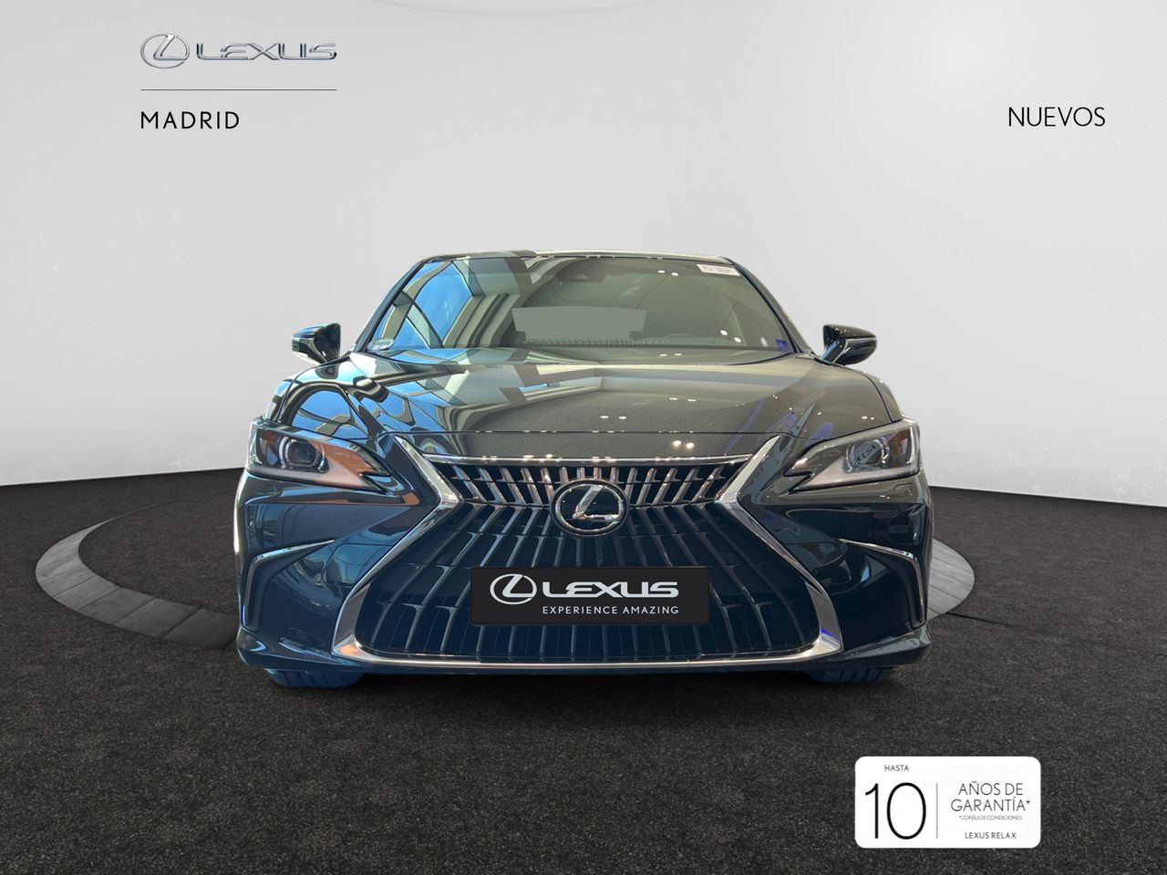 Foto lexus es 2025 /