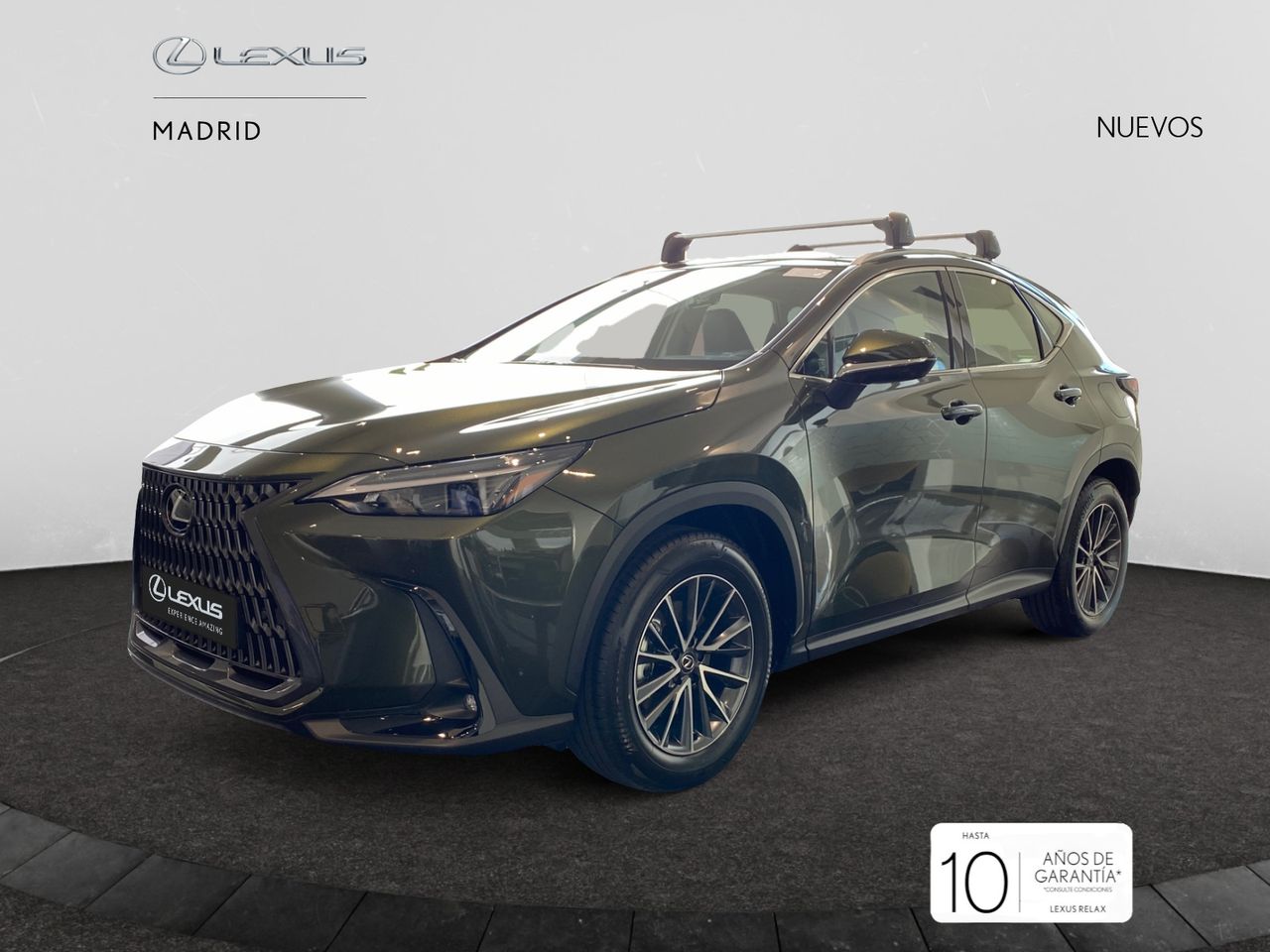lexus nx 2025 / foto grande (2)