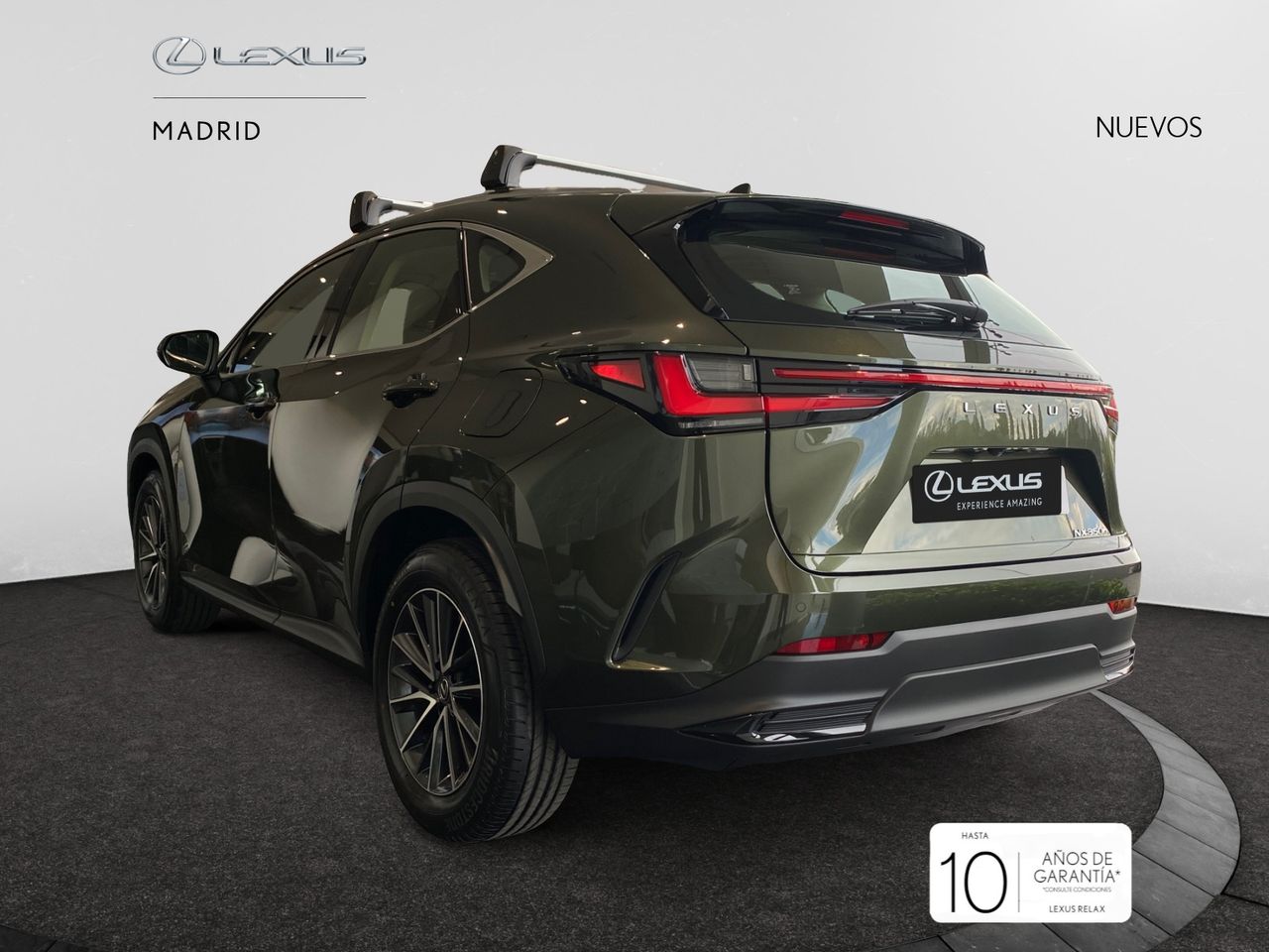 lexus nx 2025 / foto grande (3)