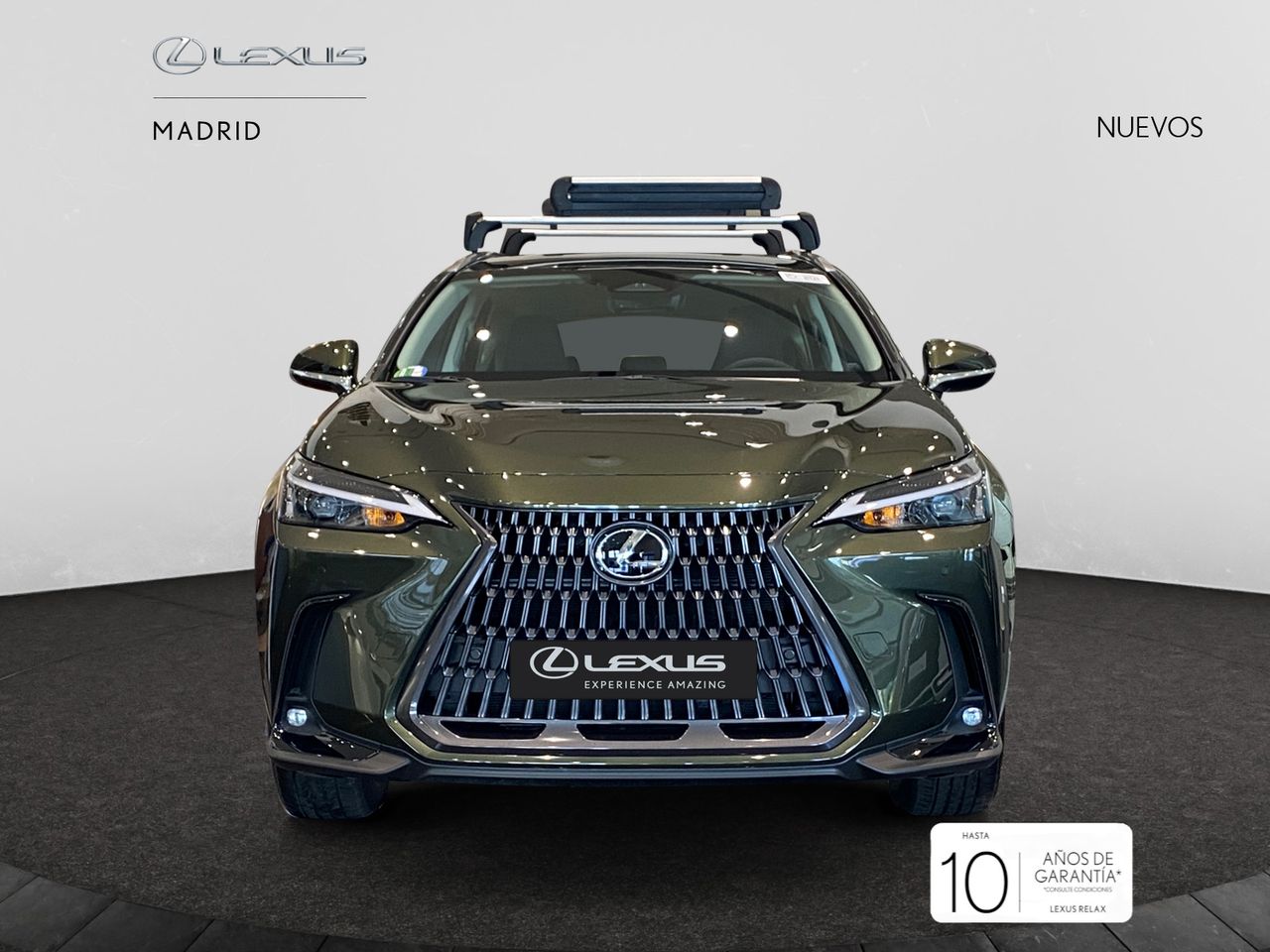 Foto lexus nx 2025 /