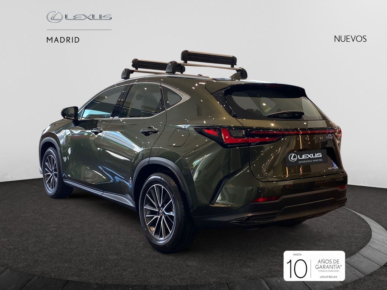 lexus nx 2025 / foto grande (3)